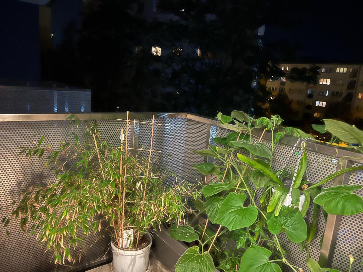 Apartment In Odra House Вроцлав Екстериор снимка